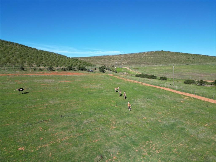 6 Bedroom Property for Sale in Stilbaai Oos Western Cape